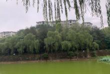 八一六公园1