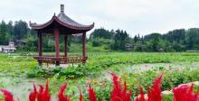 九龙田园10