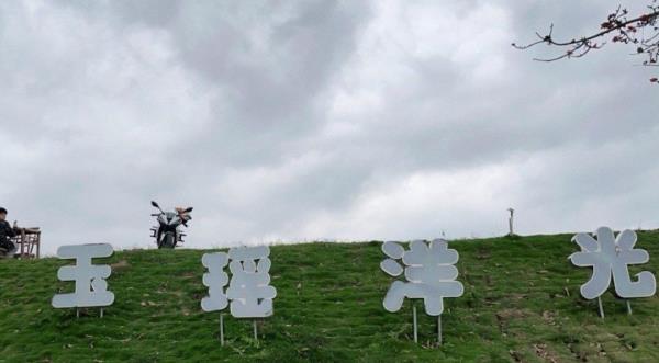玉瑶洋光村蔬菜基地