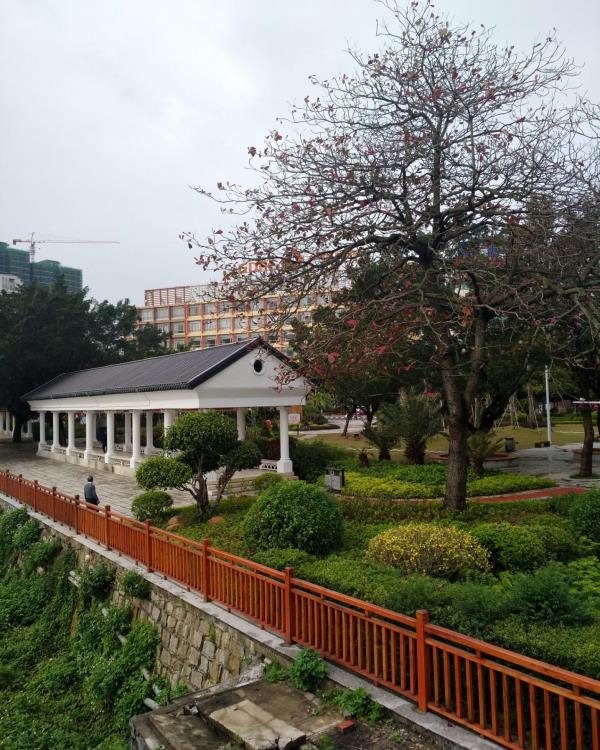 滨河公园