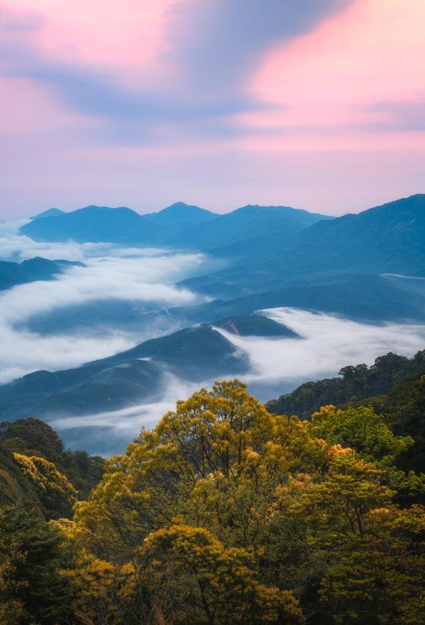 云雾山森林公园