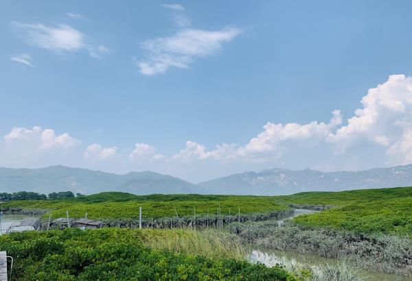 竹塔红树林自然保护区