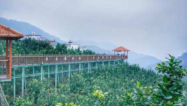 高寨村