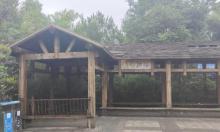 白市驿森林公园4