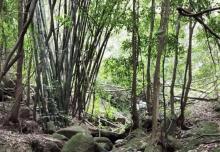 云雾山2