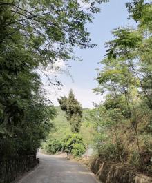 云雾山5