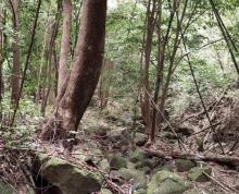 云雾山3
