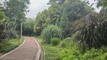 重庆金海湾公园4