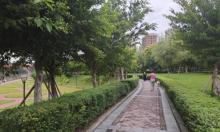 潼南湿地公园1