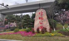 竹林公园3