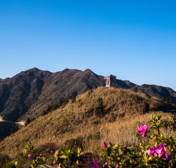 大芹山