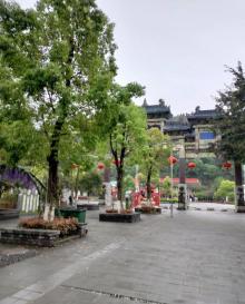 举子园2