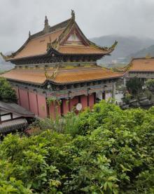 举子园15