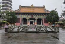 举子园8