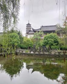 举子园24