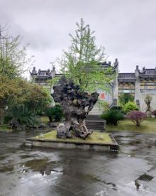 举子园23