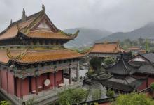 举子园11