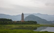 举子园1