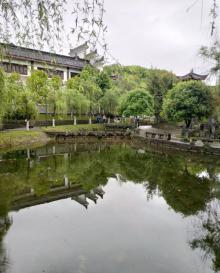 举子园3