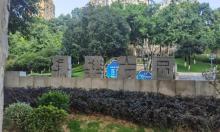 凤鸣山城中村绿壁公园2