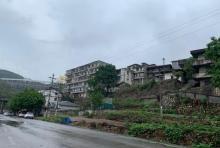 白涛村1