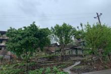 白涛村2