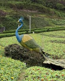 鼎山公园5