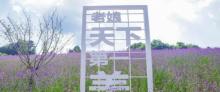 横山花仙谷27