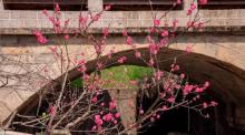 官村景区11