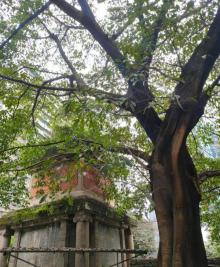 观音岩公园4