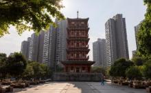 棠城公园2