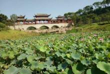 艾坪山公园10