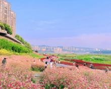 雅巴洞江滩公园1