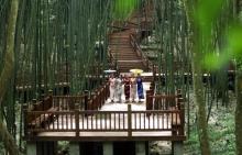百里竹海-寿海景区1