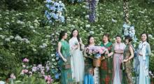 巴南石龙绣球花海3