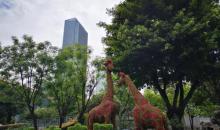 江北嘴中央商务区中央公园6