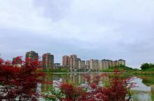 垫江牡丹湖湿地公园2
