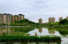 垫江牡丹湖湿地公园3