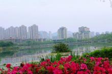 垫江牡丹湖湿地公园1