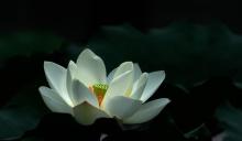 龙潭湖9