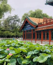 龙潭湖12