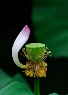 龙潭湖2