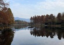 观音塘湿地公园1