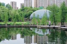 观音塘湿地公园4