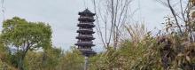 朝云公园1