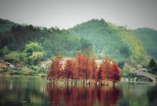 青山湖湿地公园11