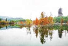 青山湖湿地公园17