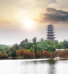 青山湖湿地公园18