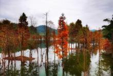 青山湖湿地公园12