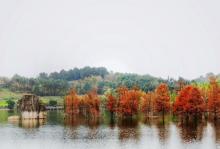 青山湖湿地公园13